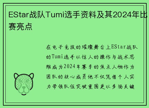 EStar战队Tumi选手资料及其2024年比赛亮点