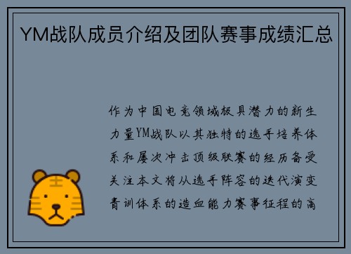YM战队成员介绍及团队赛事成绩汇总