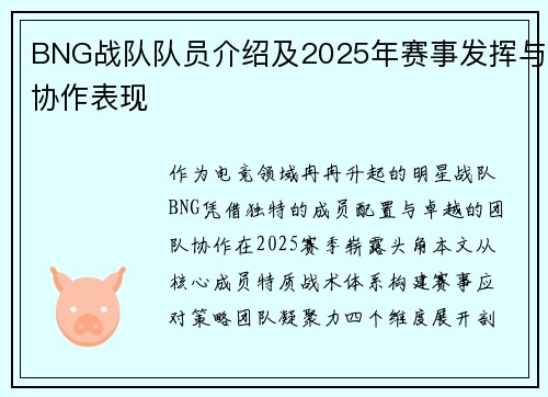 BNG战队队员介绍及2025年赛事发挥与协作表现